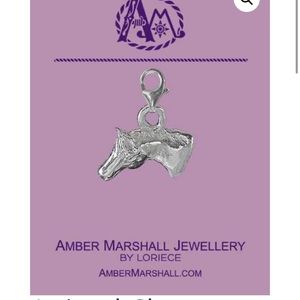 Amber Marshall charm TV show Heartland